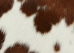 Brown Cowhide Fur