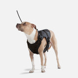 UTILITY DOG HARNESS