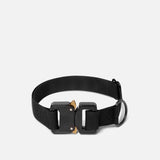 WEBBING DOG COLLAR | KILLSPENCER® - Black Webbing