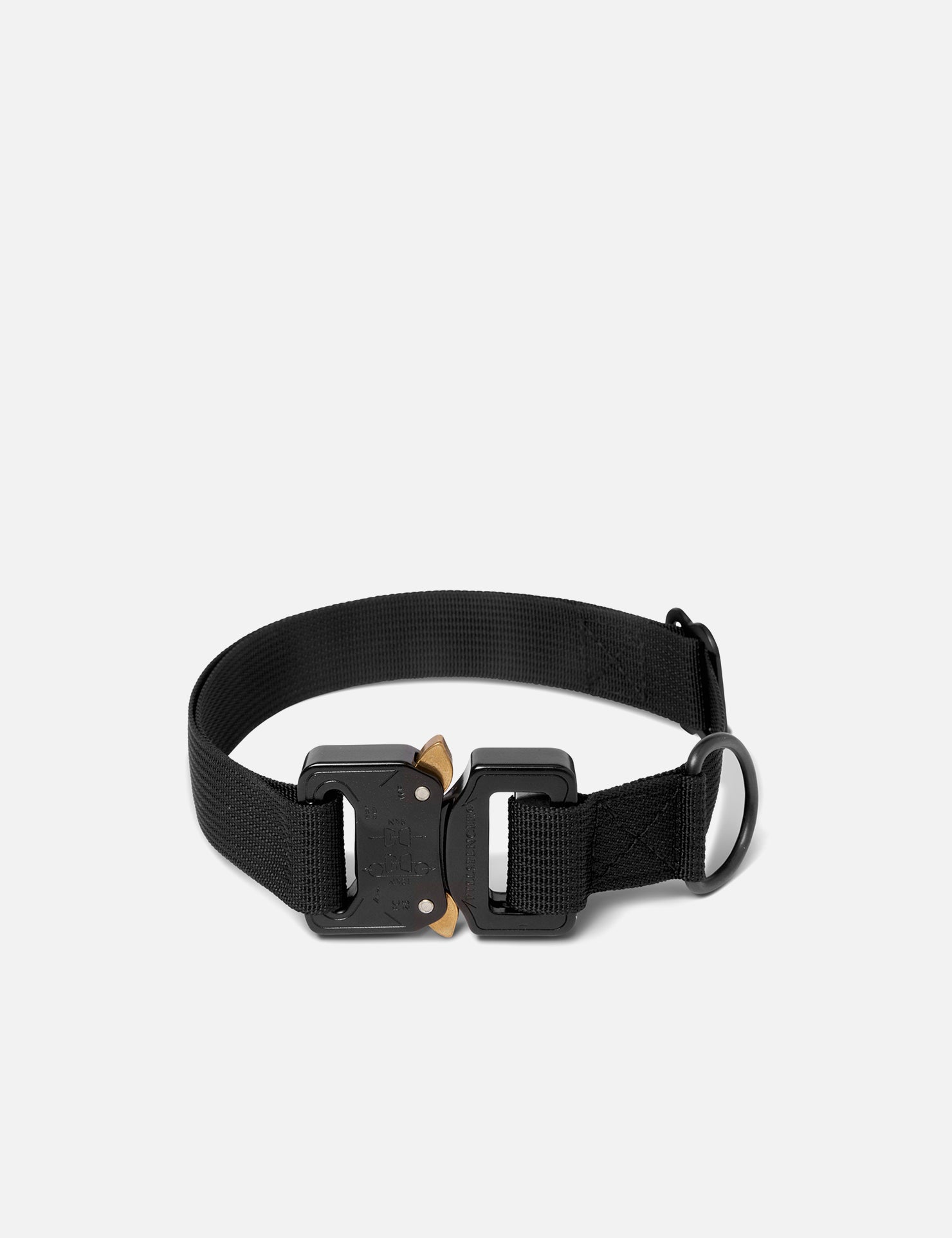 WEBBING DOG COLLAR | KILLSPENCER® - Black Webbing