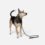 DOG LEASH | KILLSPENCER® - Black Paracord